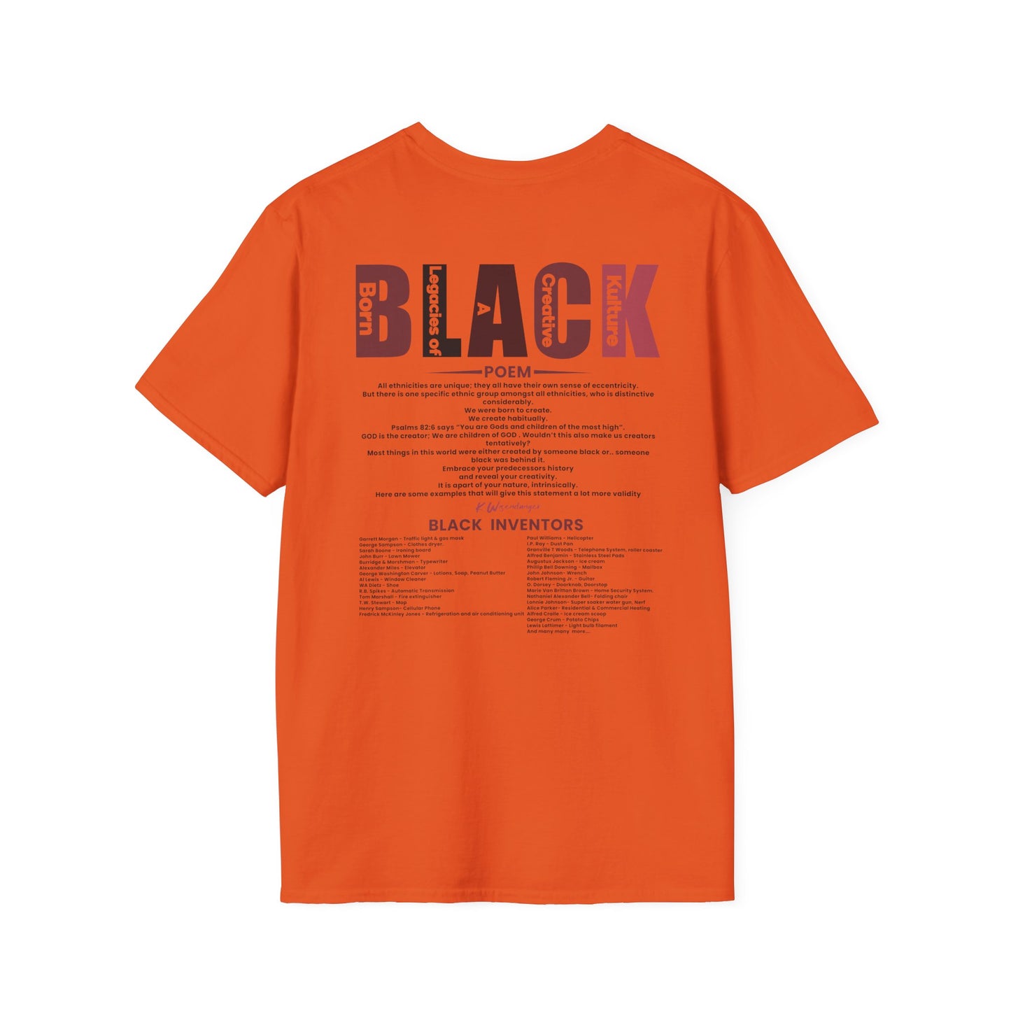 N.I.G.G.A. Diversity Matters Unisex Softstyle T-Shirt - Celebrate Unique Perspectives