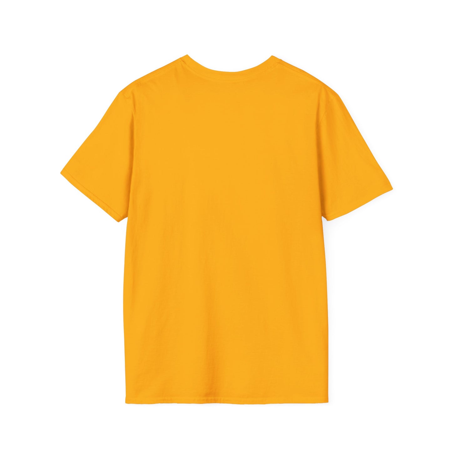 P.A.I.D. Never B.R.O.K.E. T-Shirt - Motivational Apparel, Gift for Entrepreneurs, Financial Freedom Shirt, Unisex Graphic Tee, Trendy Casual Wear
