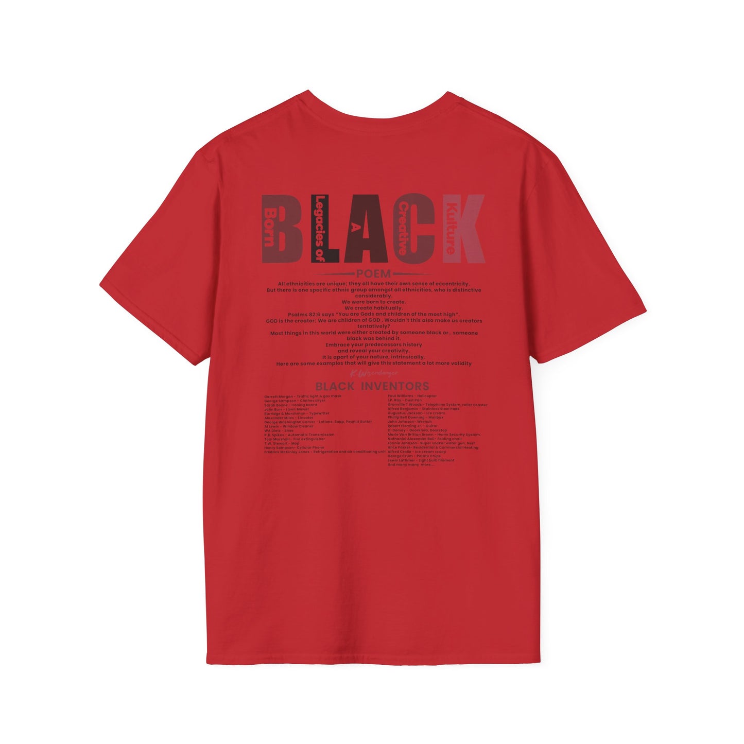 N.I.G.G.A. Diversity Matters Unisex Softstyle T-Shirt - Celebrate Unique Perspectives